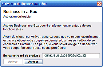 Business In The Box Serial Keygen Cd Key Gumroad Color